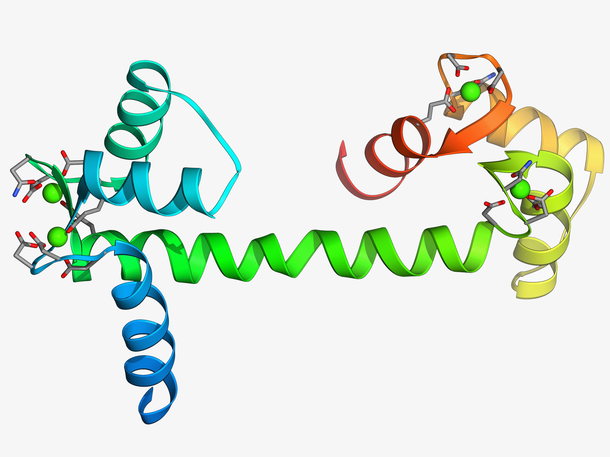 迄今为止最全面的人类蛋白质编码区遗传变异记